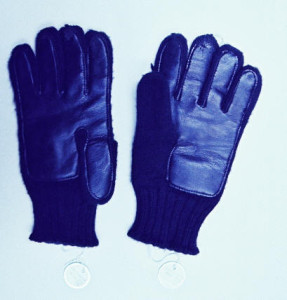 Gloves_photo_published1-1-96